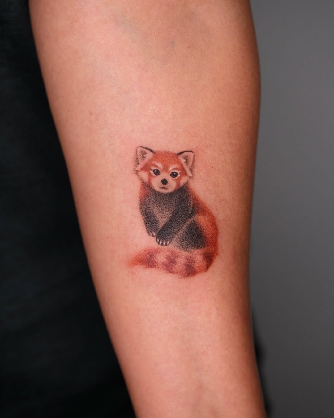 Tattoo by @toki.tattoos โ realism, fine_line