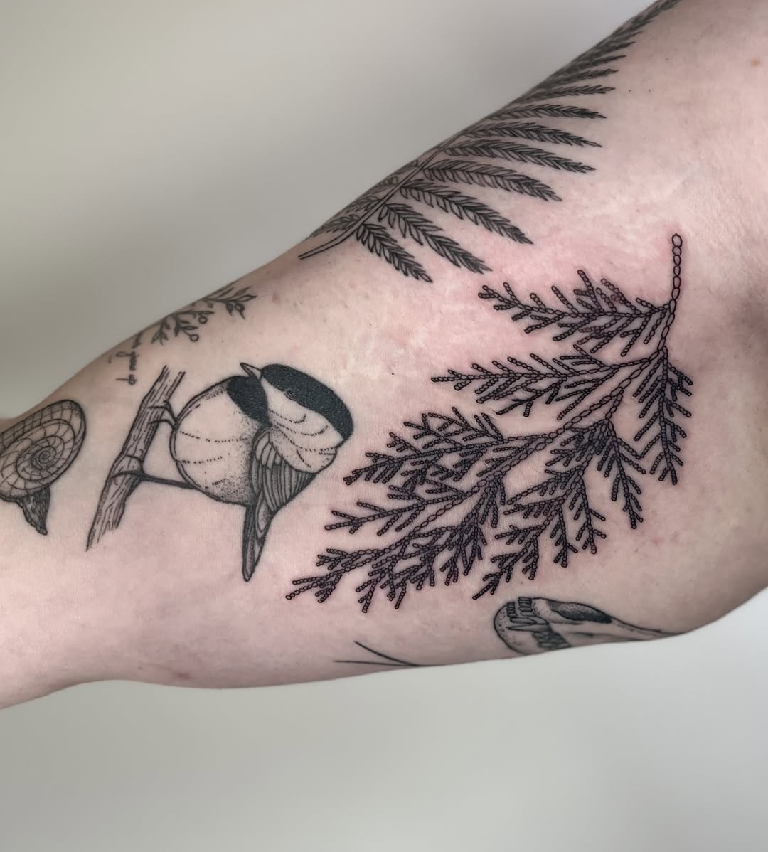 Tattoo by @seed.eternal — fine_line, black_and_grey