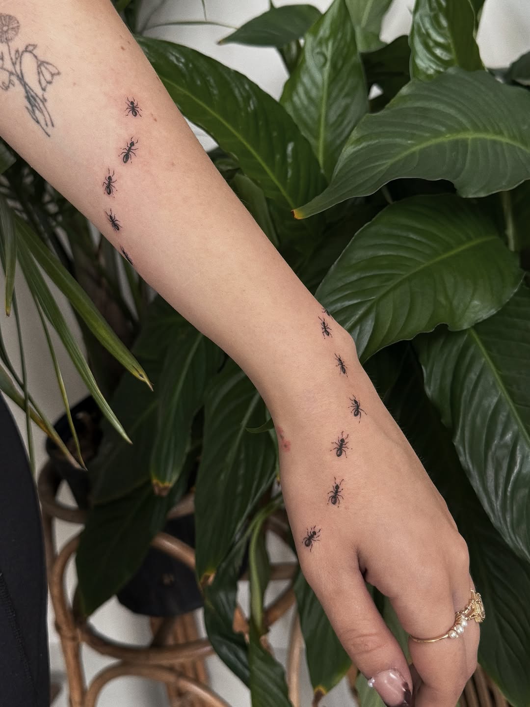 Tattoo by @somberallure — fine_line, minimalist