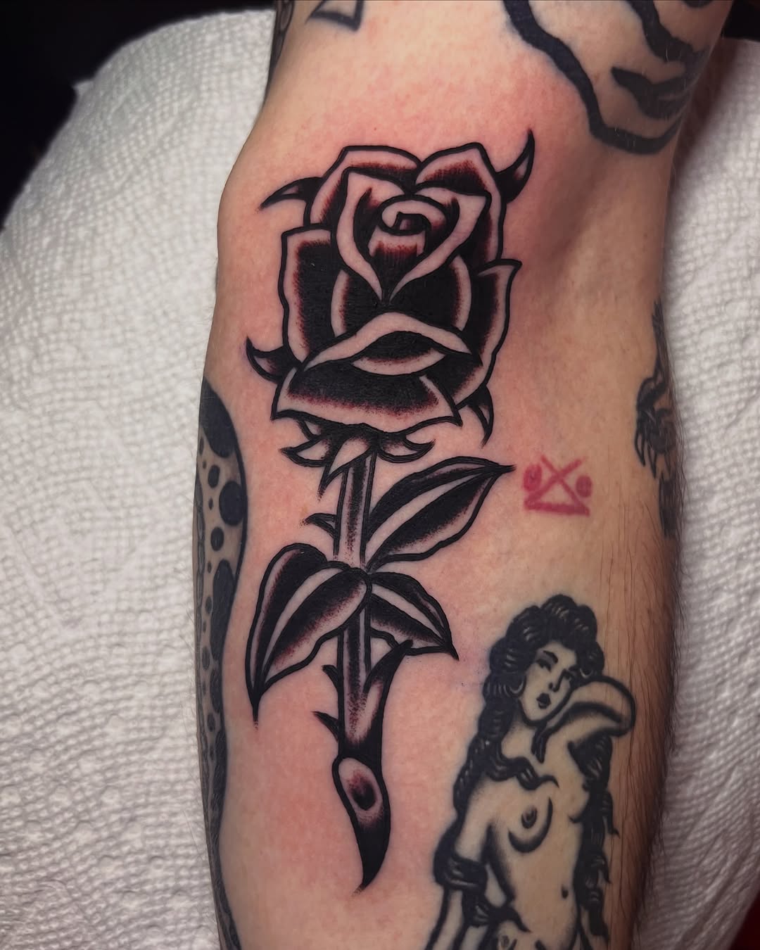 Tattoo by @snakelicausi — american_traditional