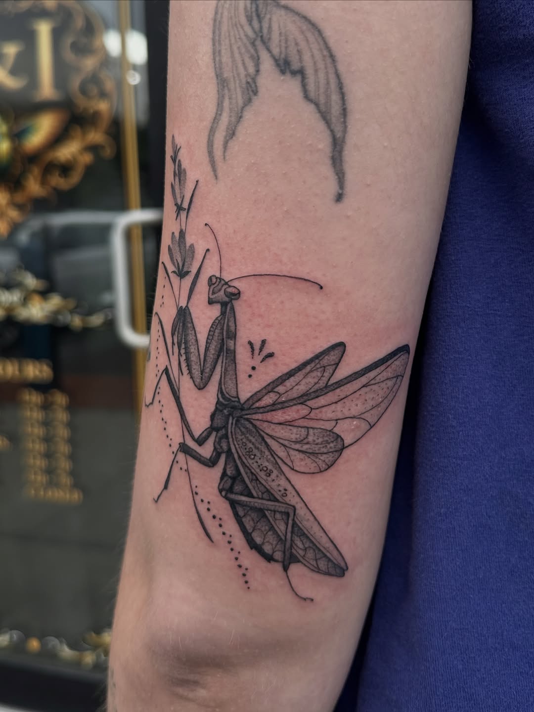 Tattoo by @nancyrose.art — black_and_grey, dotwork