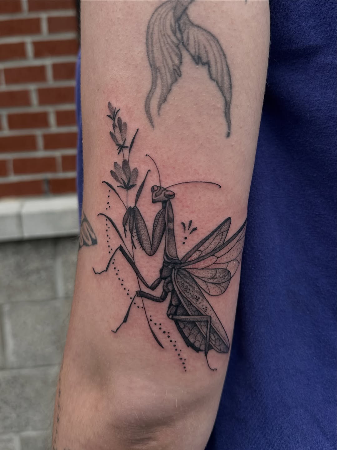 Tattoo by @nancyrose.art — fine_line, dotwork