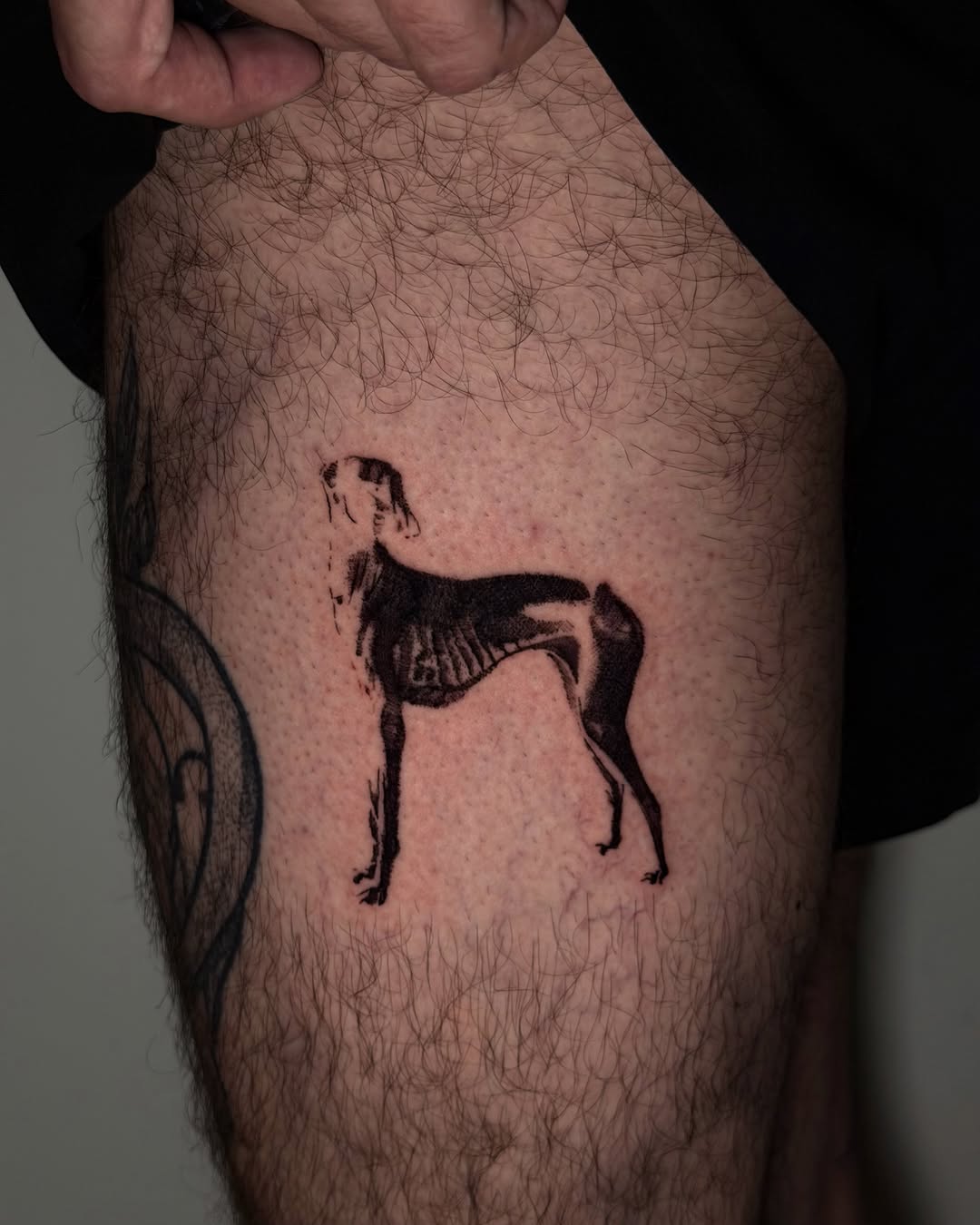 Tattoo by @tattoosbygiovanni — black_and_grey, realism