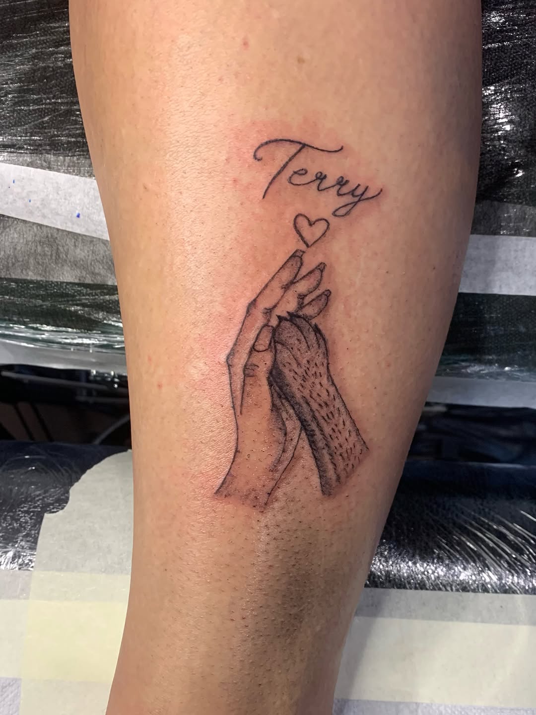 Tattoo by @_cats_and_tatts_ — fine_line, lettering_script