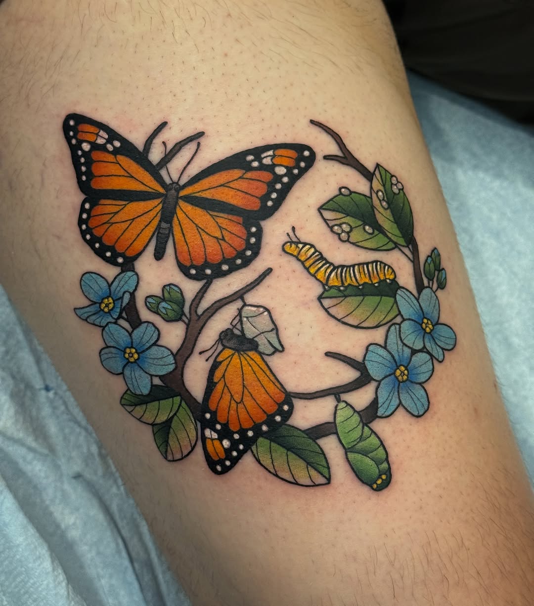 Tattoo by @amyjeantattoos — neo_traditional