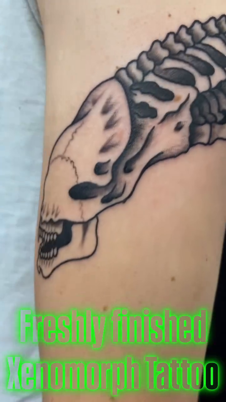 Tattoo by @kruegergrams — black_and_grey, realism