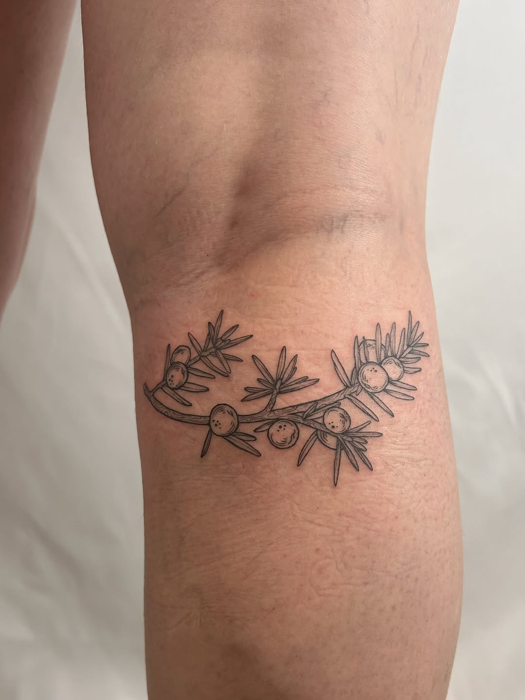 Tattoo by @littlebird_ink — fine_line