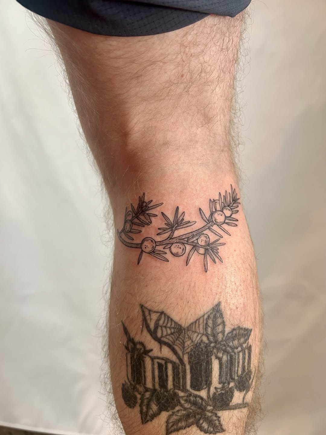 Tattoo by @littlebird_ink — fine_line, illustrative