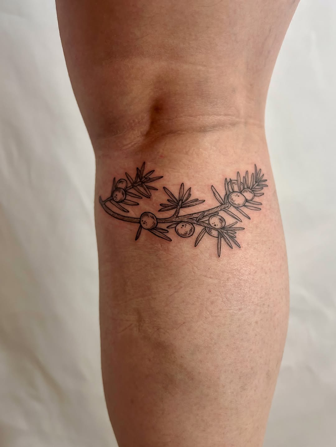 Tattoo by @littlebird_ink — fine_line