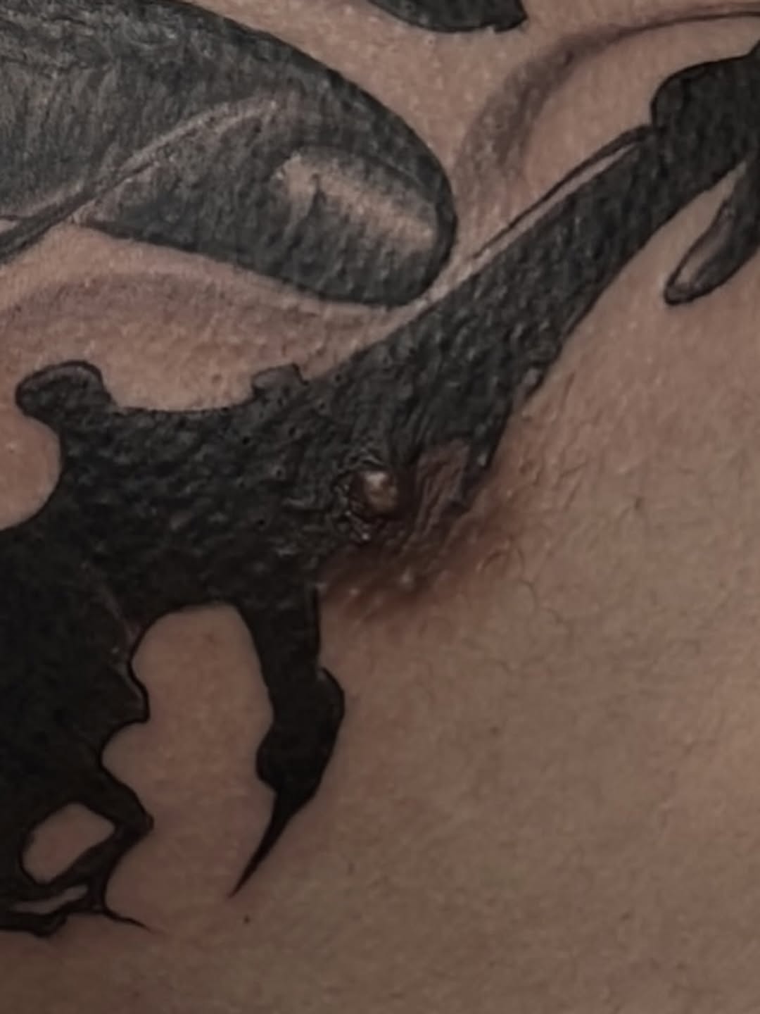 Tattoo by @mimzipma — blackwork