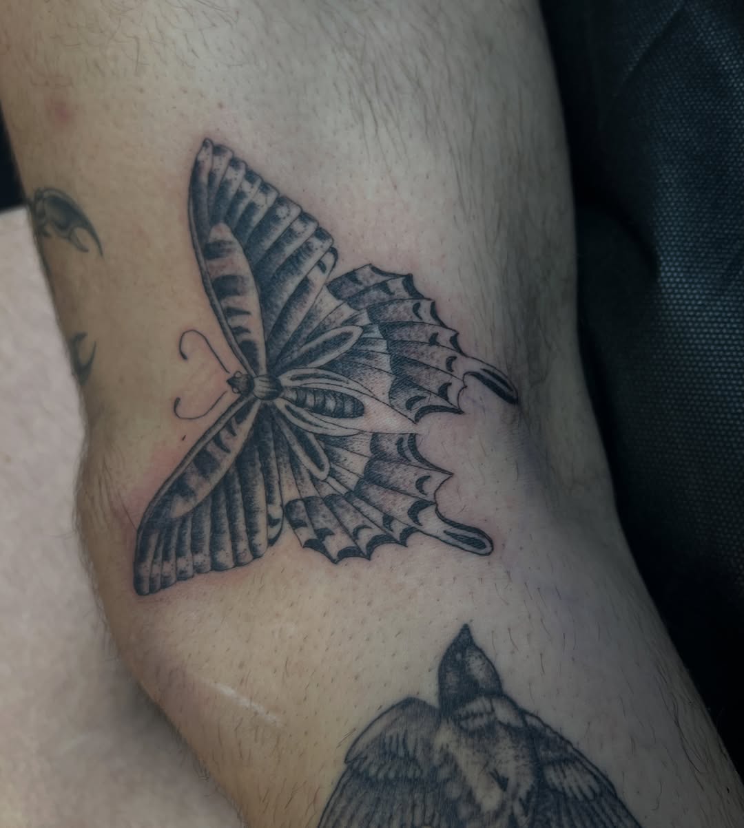 Tattoo by @max_aaron_tat2 — black_and_grey, dotwork