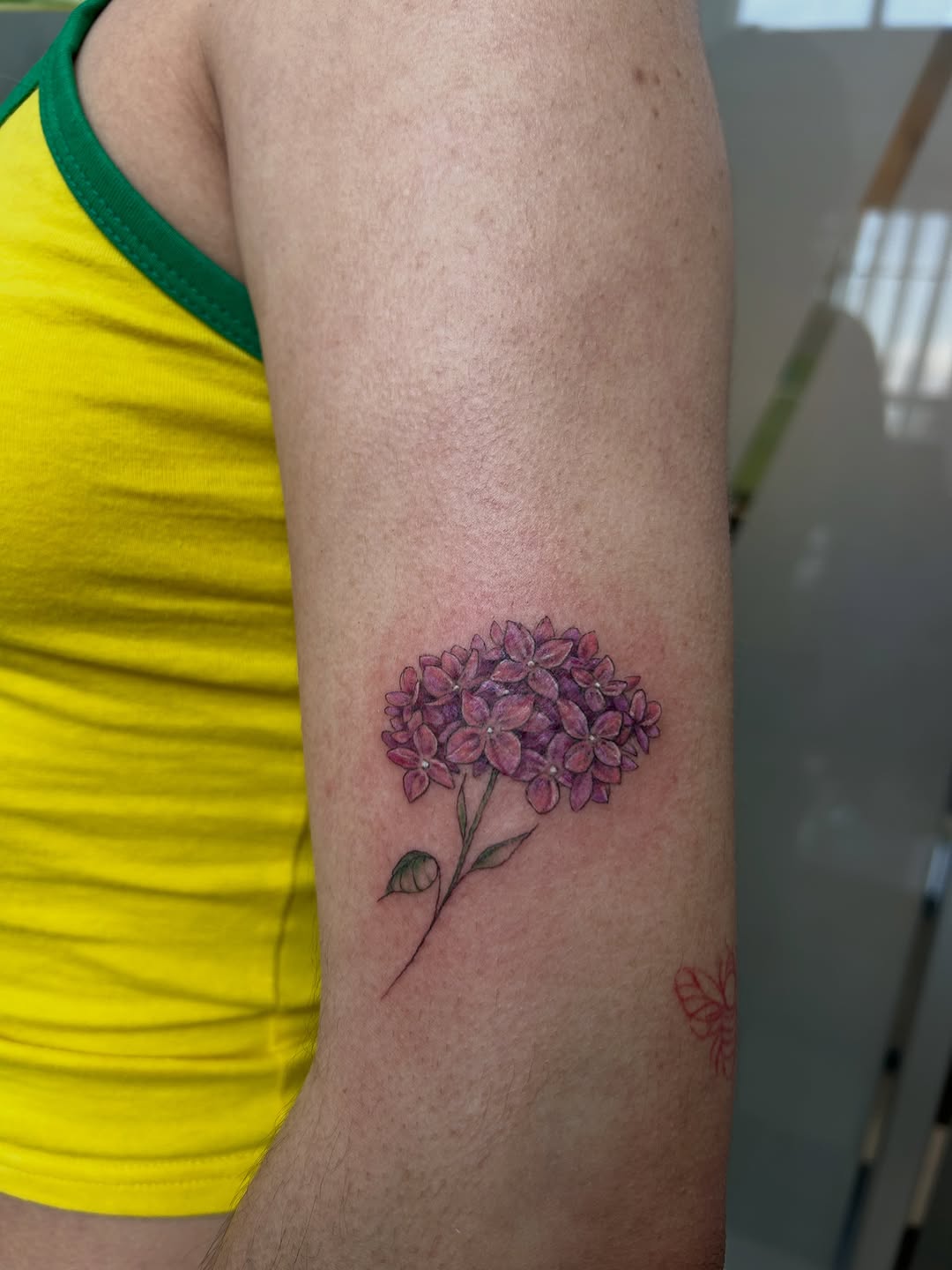 Tattoo by @leila.oko — fine_line, realism