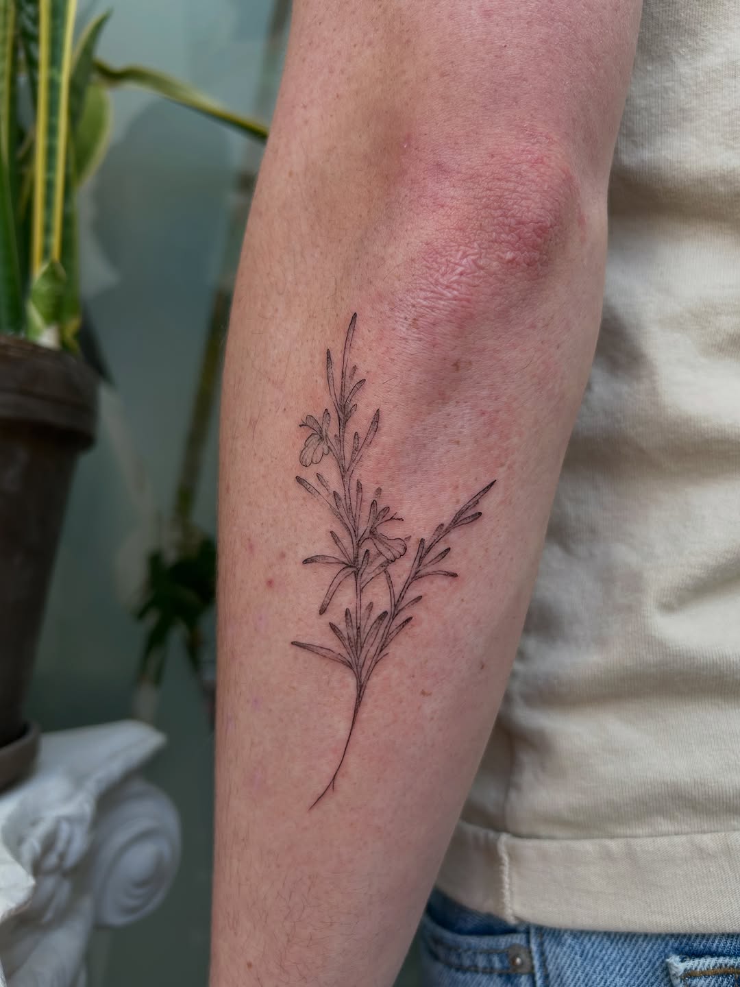 Tattoo by @leila.oko — fine_line