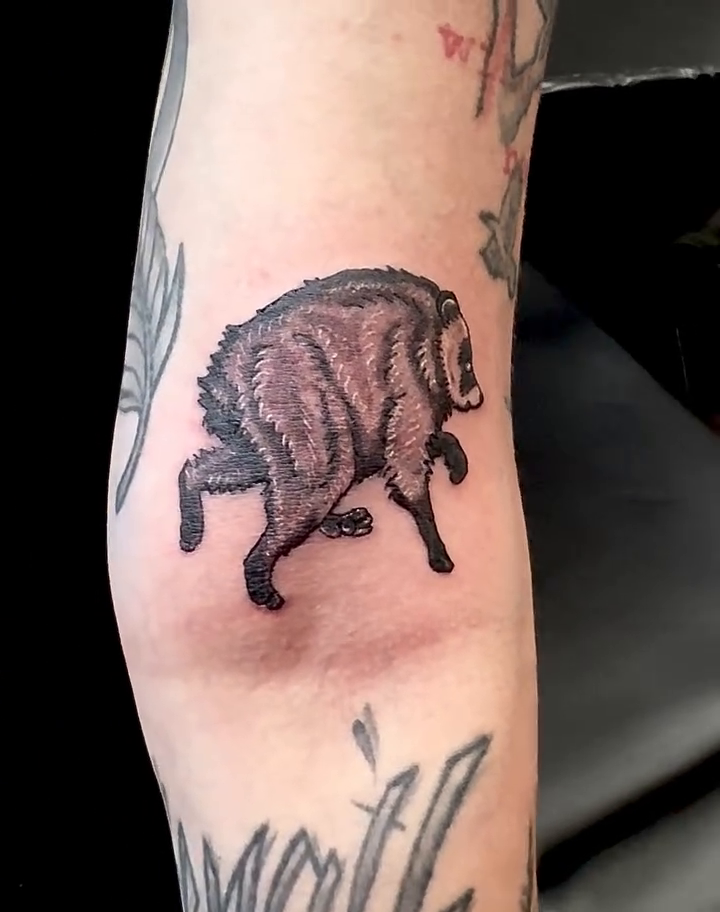 Tattoo by @bonesandstars — black_and_grey, realism