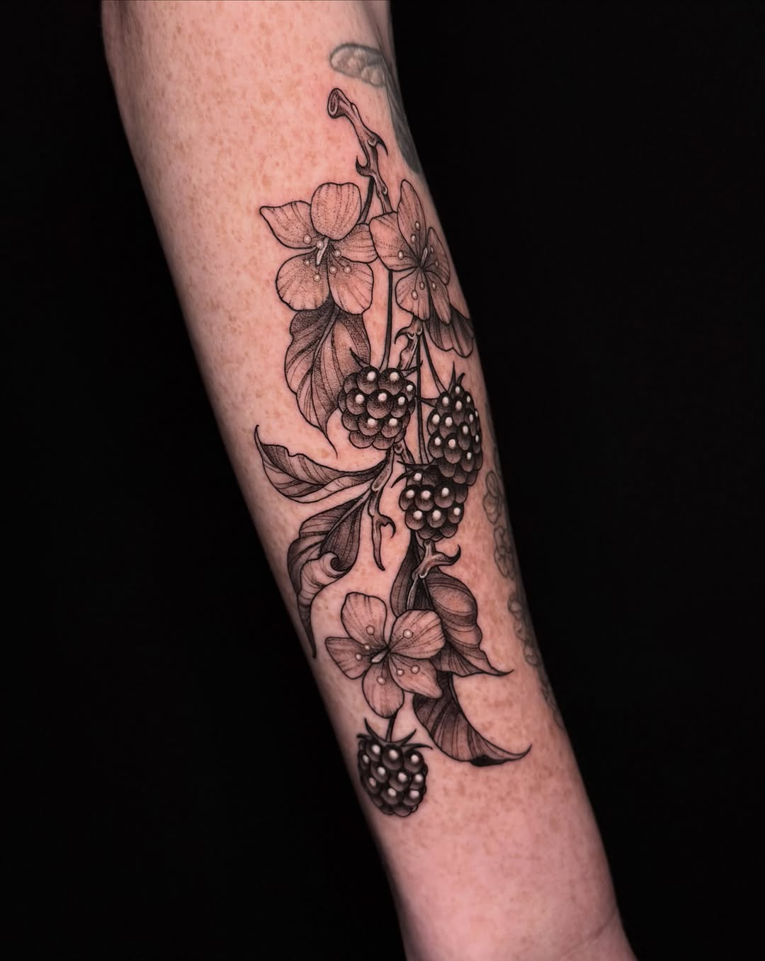 Tattoo by @lyssa_jtattoo — black_and_grey, realism