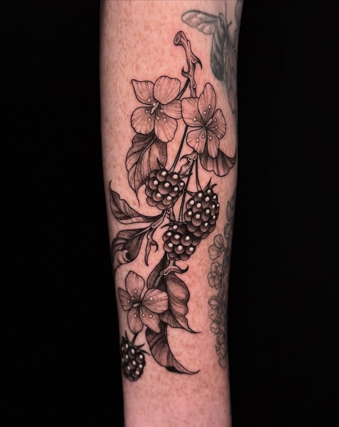 Tattoo by @lyssa_jtattoo — black_and_grey, realism