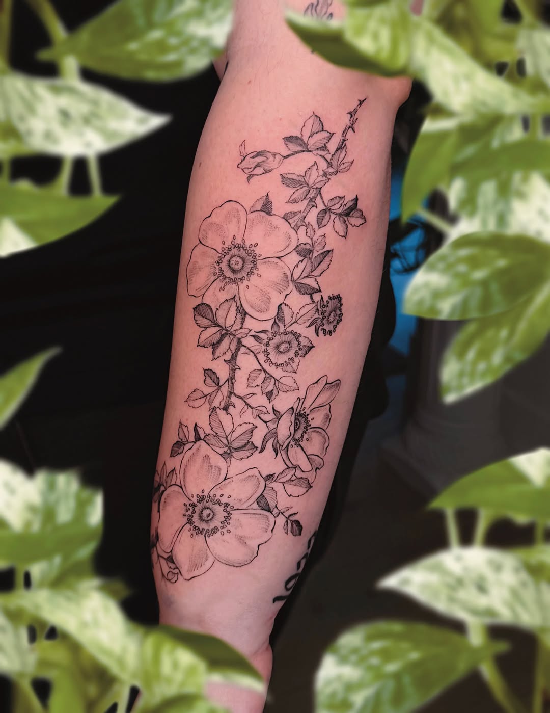 Tattoo by @femininefawntattoo — fine_line, black_and_grey