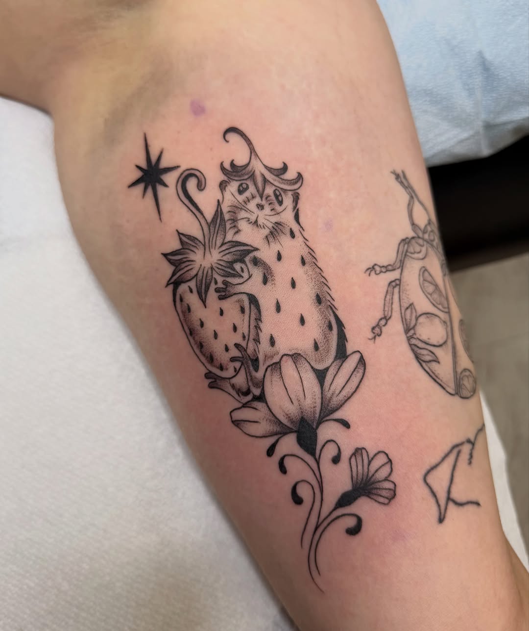 Tattoo by @elliemac.tattoos — fine_line, illustrative