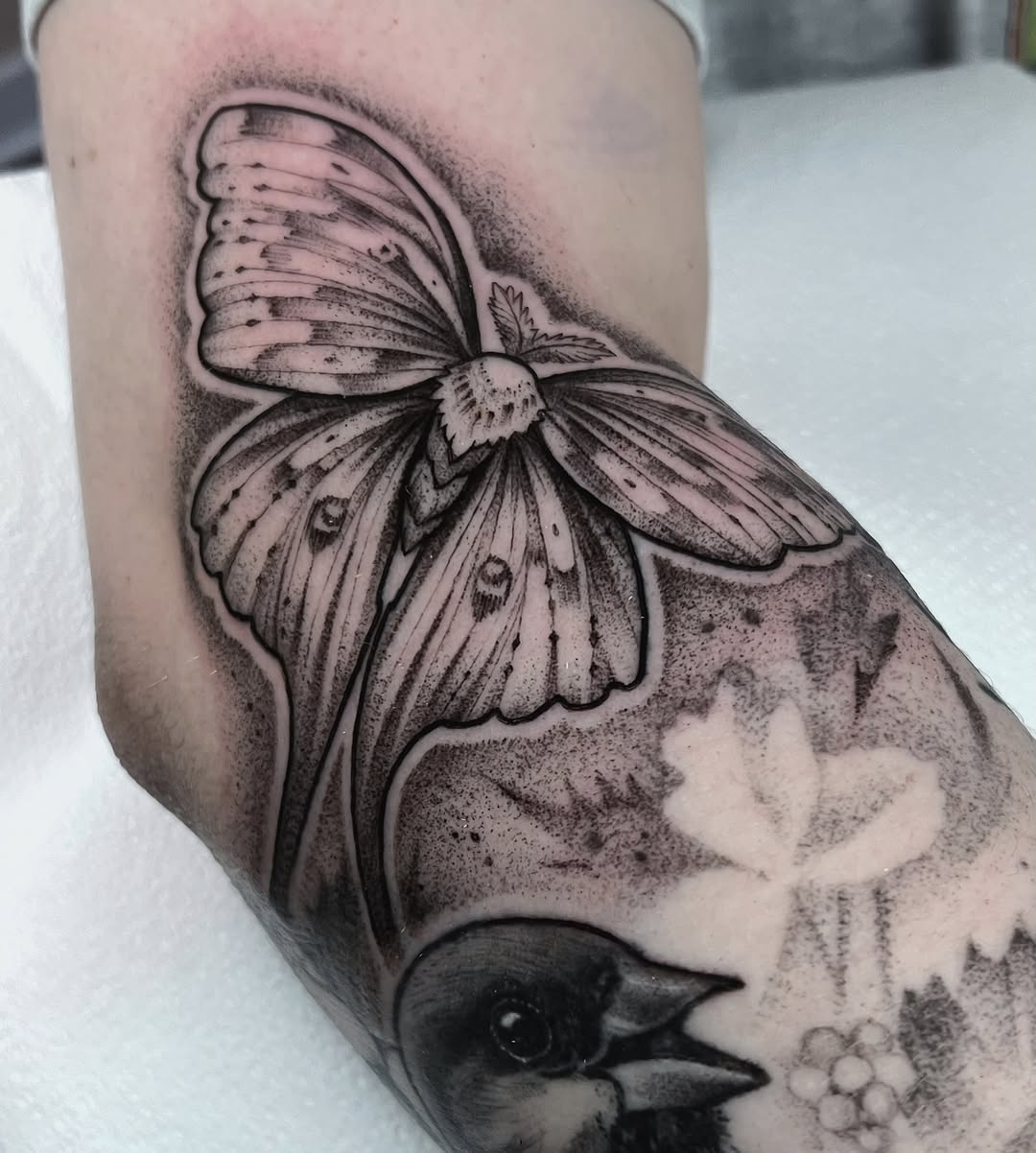 Tattoo by @annawolfftattoos — black_and_grey, realism