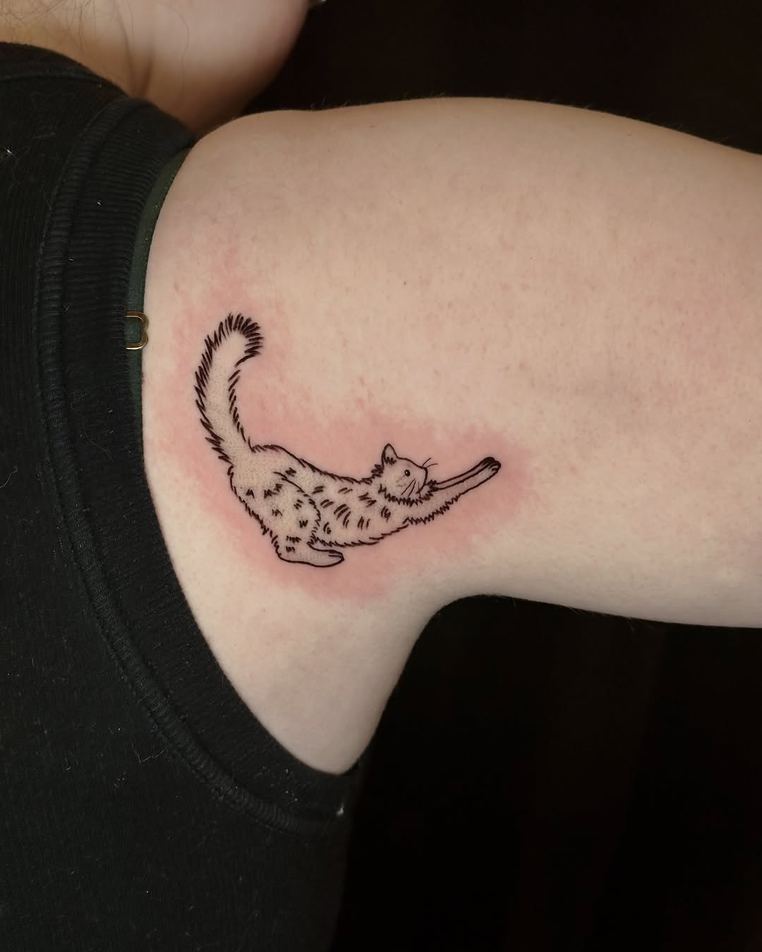 Tattoo by @goom_tattoo β fine_line, sketch