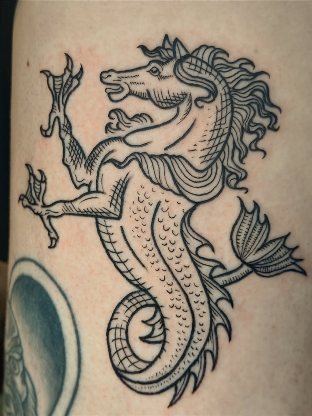Tattoo by @skeeter_tattss — blackwork