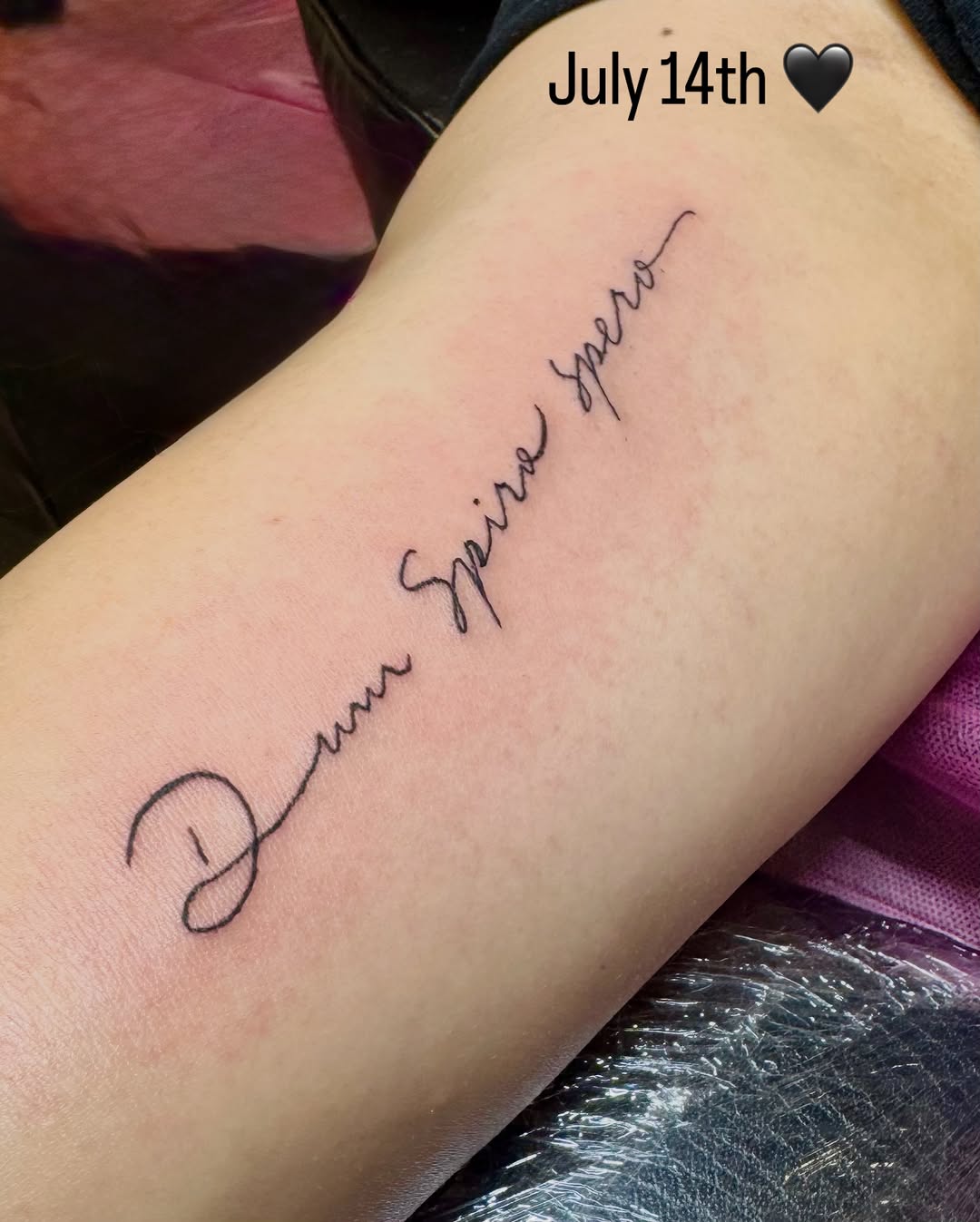 Tattoo by @sixteen_3_ — lettering_script, fine_line