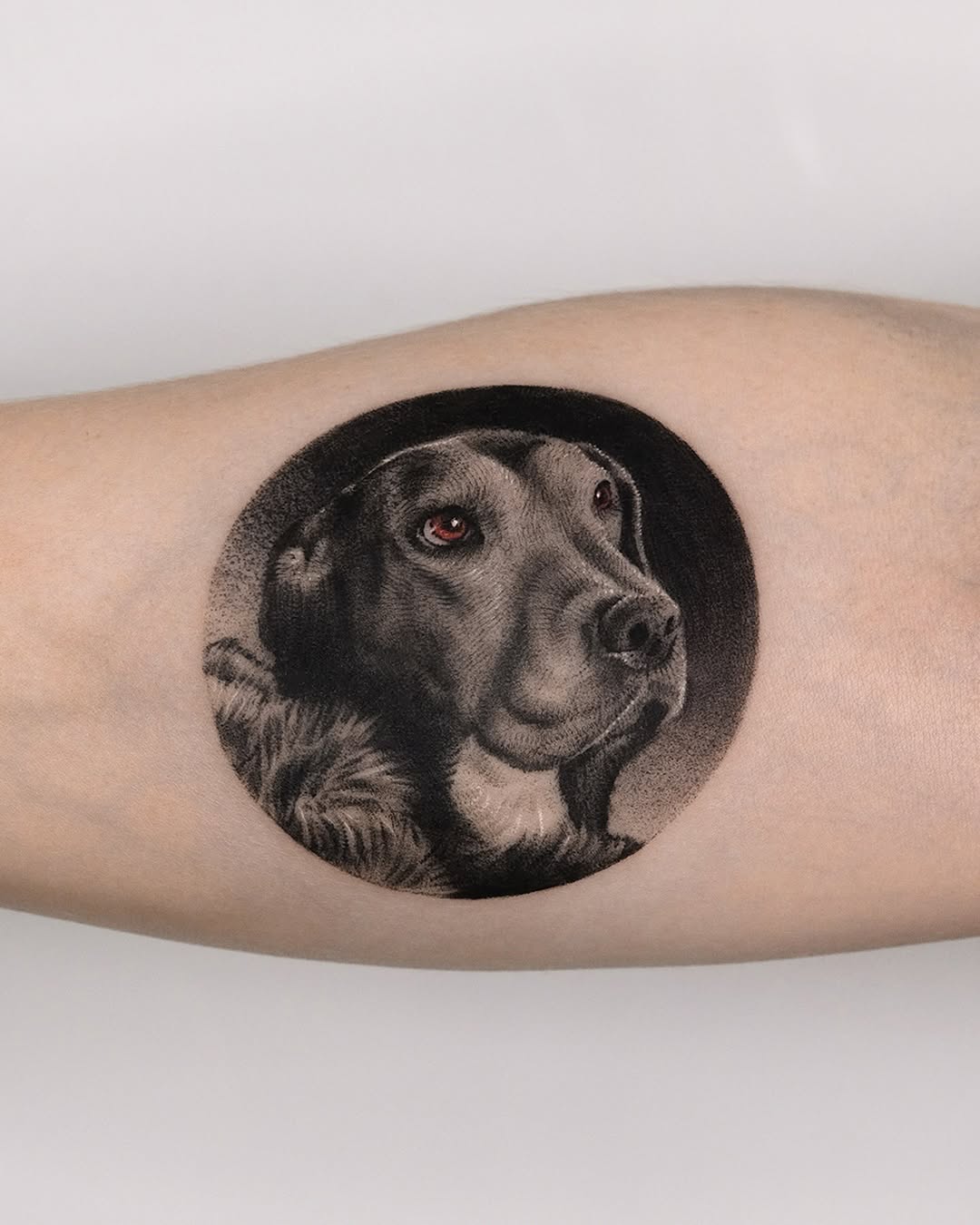 Tattoo by @yumemonchi — realism, black_and_grey