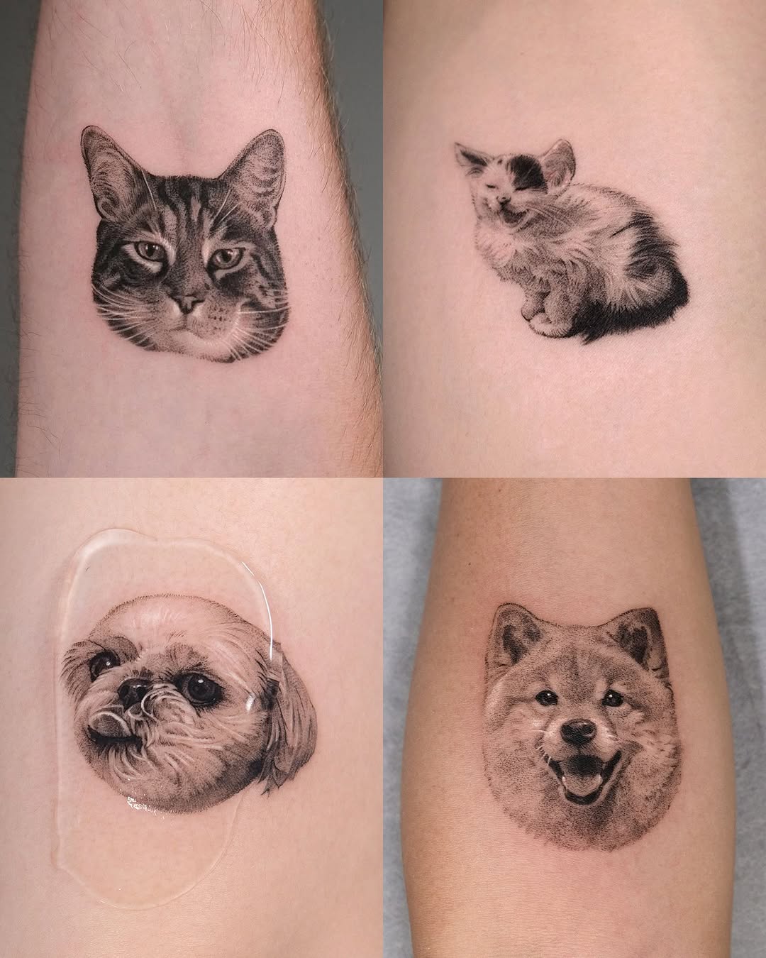 Tattoo by @yumemonchi — realism, black_and_grey
