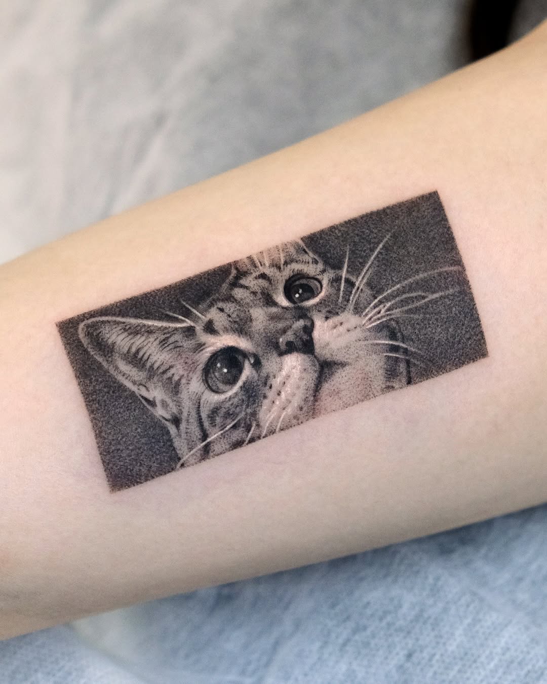 Tattoo by @yumemonchi — realism, dotwork