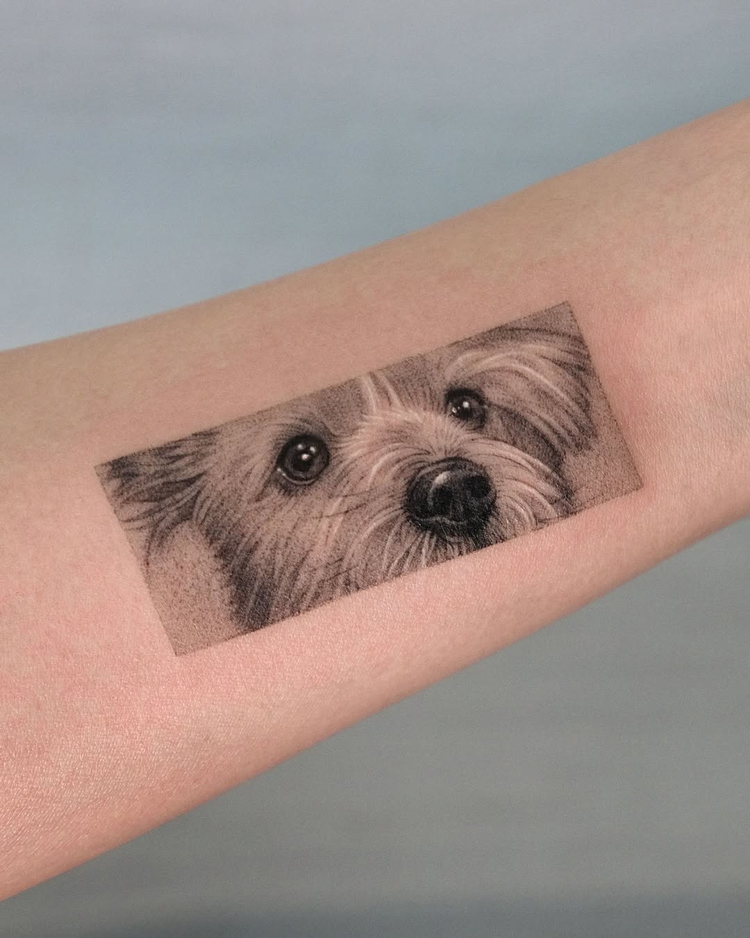 Tattoo by @yumemonchi — realism, black_and_grey