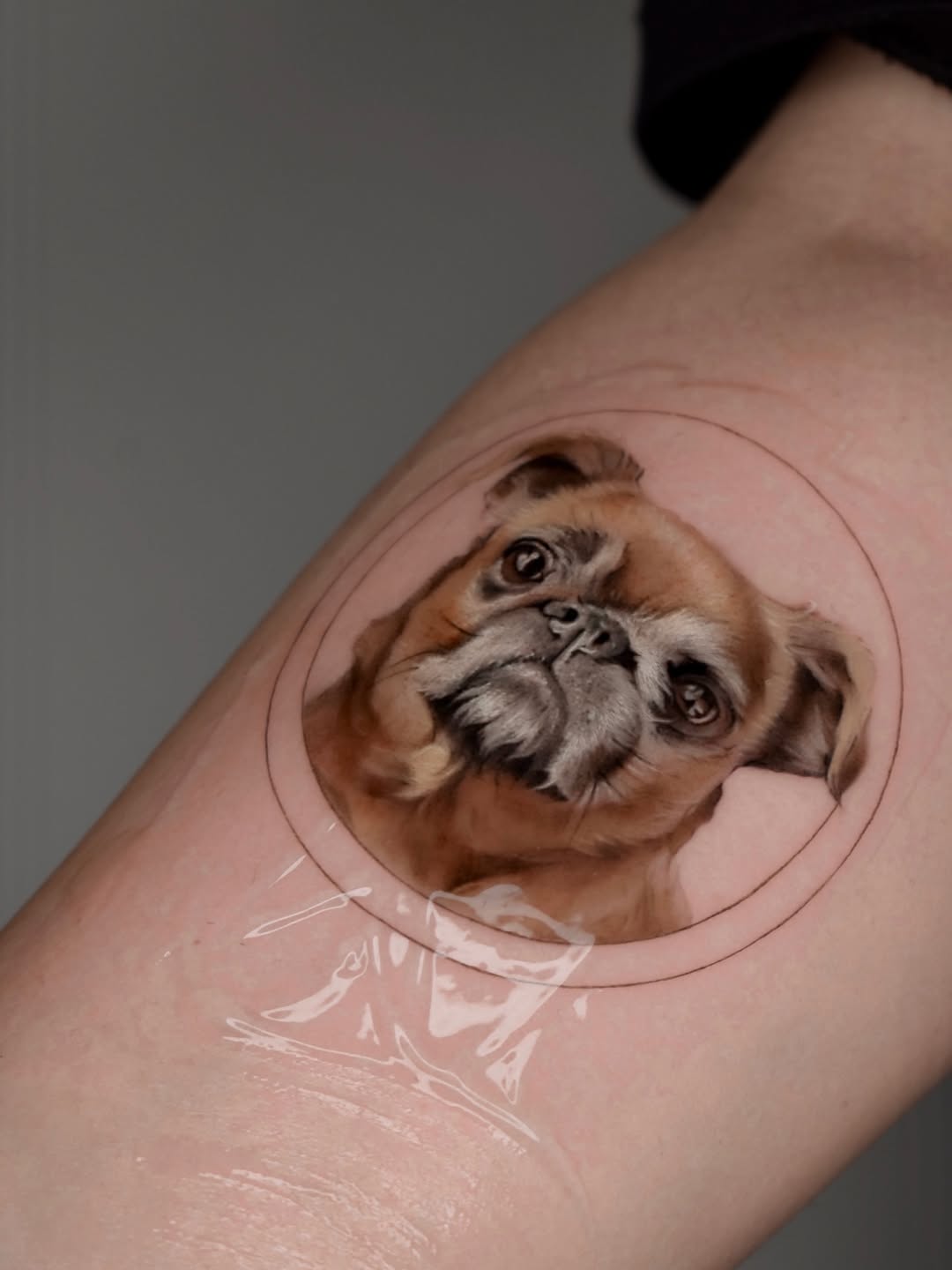 Tattoo by @biyanova_microrealism_tattoo — realism, black_and_grey