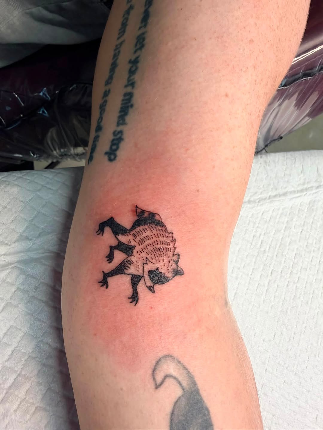 Tattoo by @catfishjimmytattoos — black_and_grey, illustrative