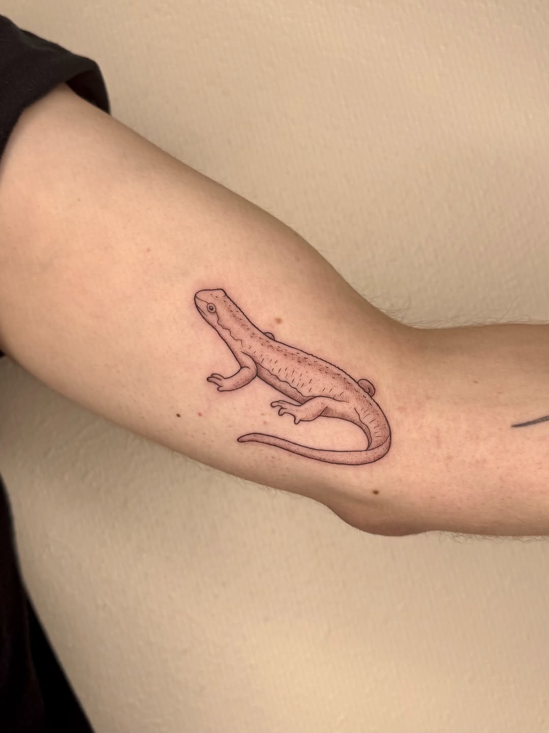 Tattoo by @shan_tattoos β fine_line, realism