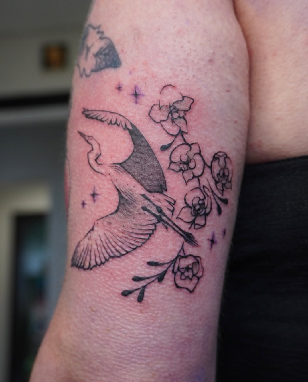 Tattoo by @scaredy.cat.tatts — fine_line, illustrative