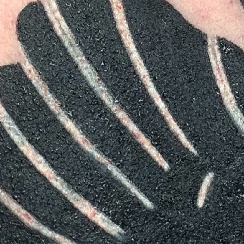Tattoo by @bfrank.tattoo — blackwork, dotwork