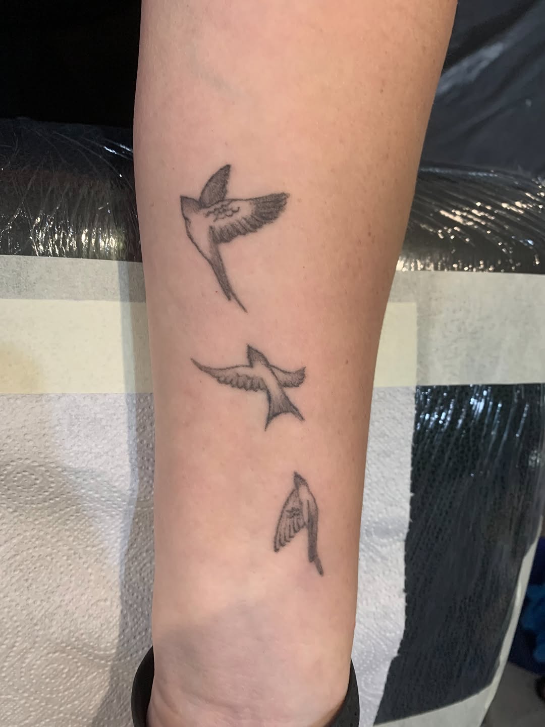 Tattoo by @_cats_and_tatts_ — fine_line