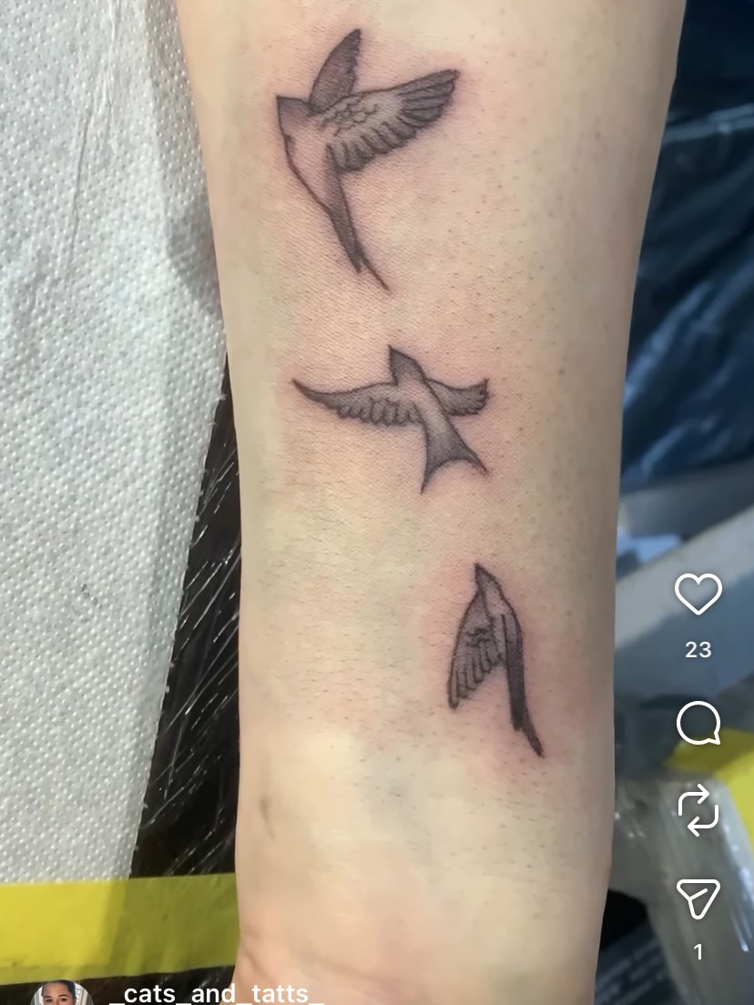 Tattoo by @_cats_and_tatts_ — fine_line
