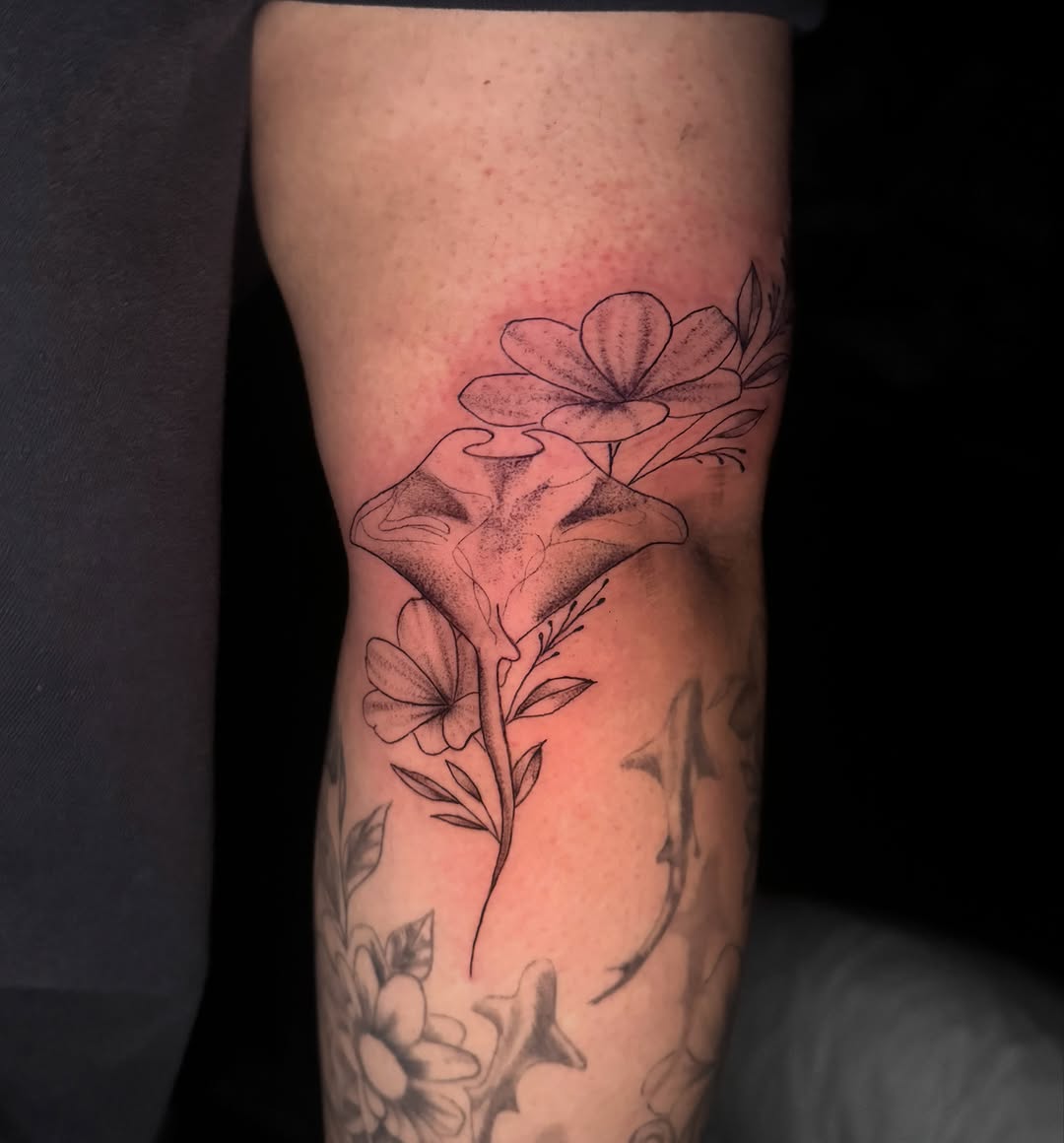 Tattoo by @ninelivestvttoo — fine_line, black_and_grey