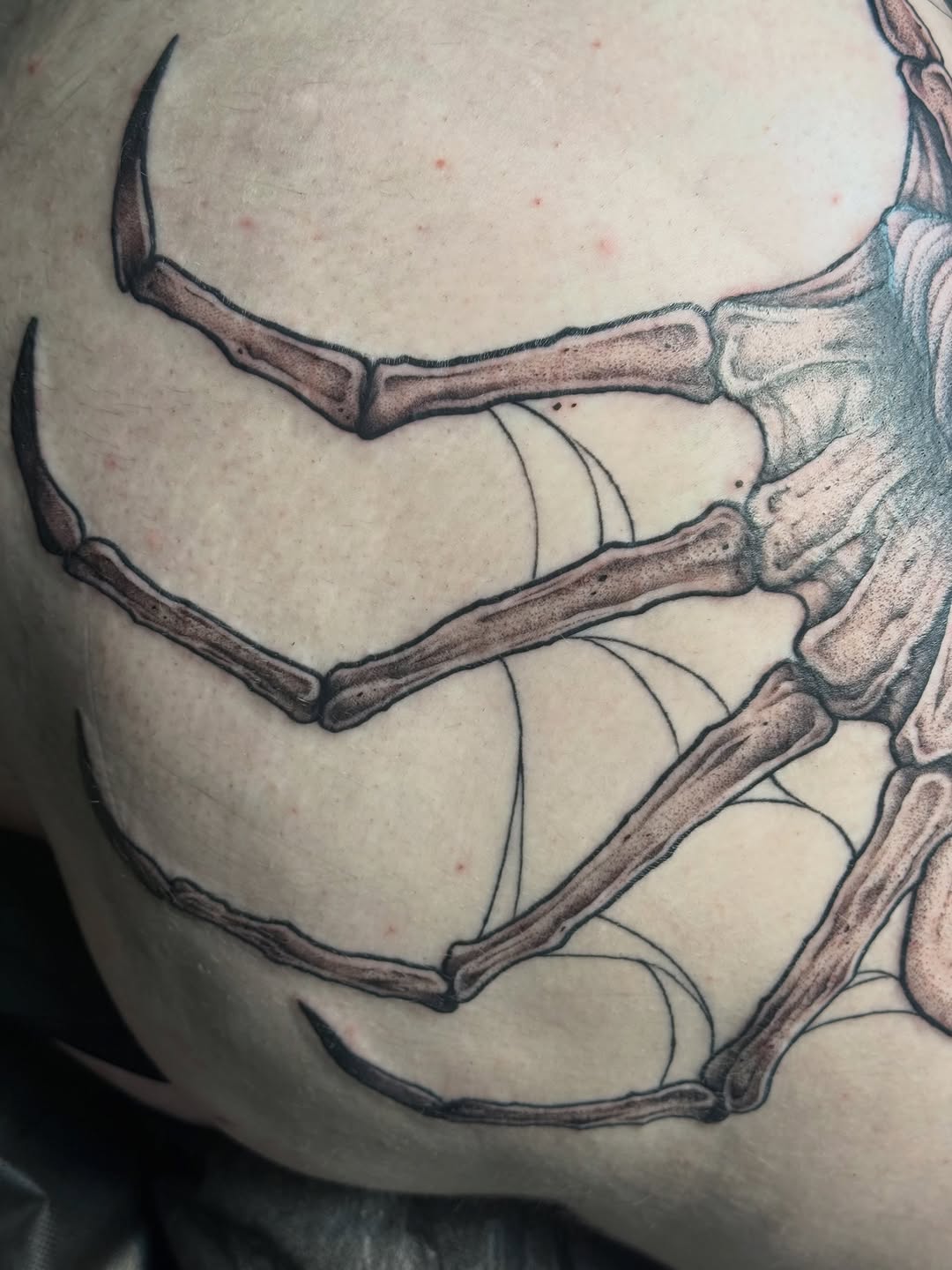 Tattoo by @bodyartbyali β realism, black_and_grey