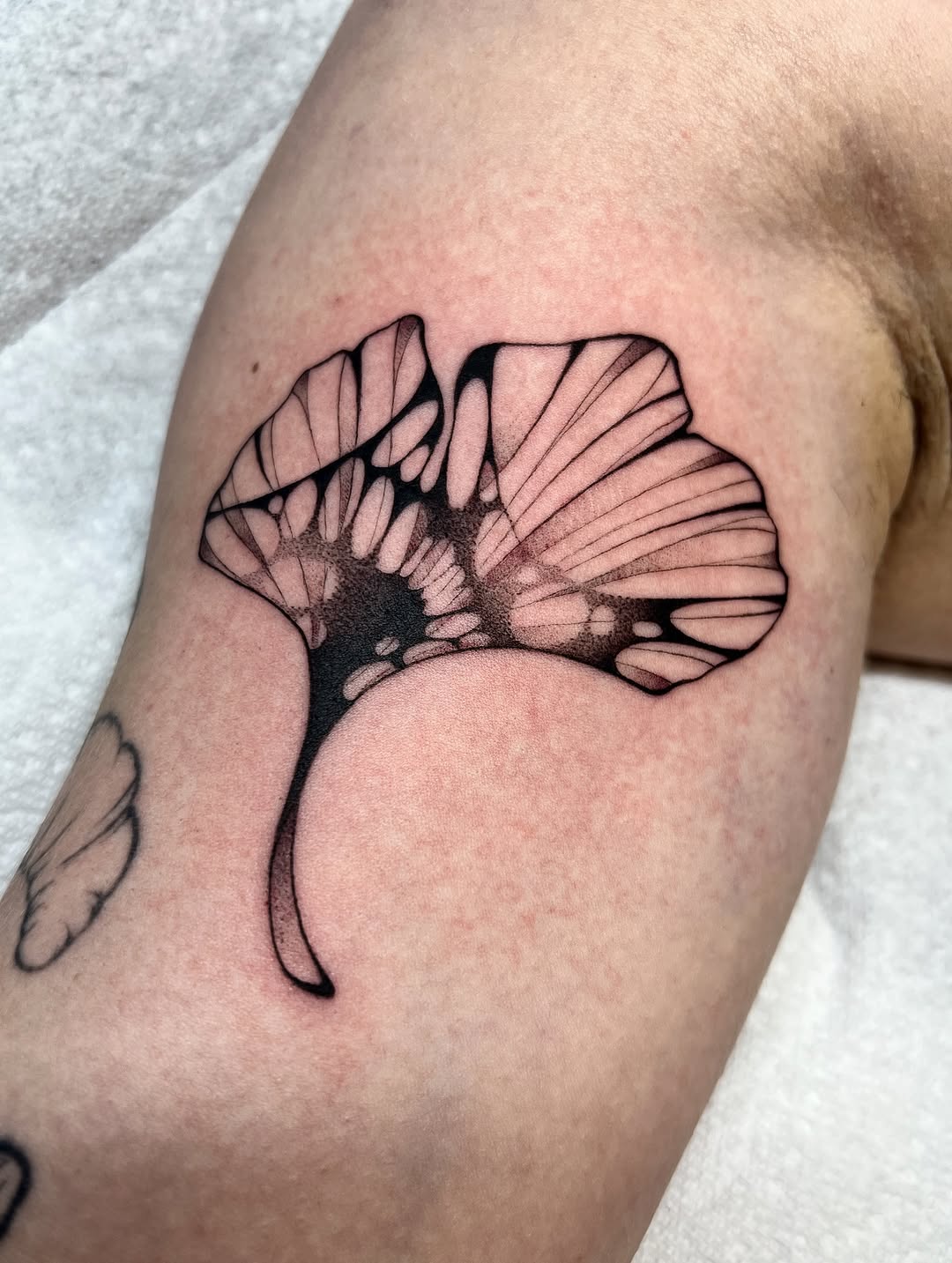 Tattoo by @sans.detour — fine_line, dotwork