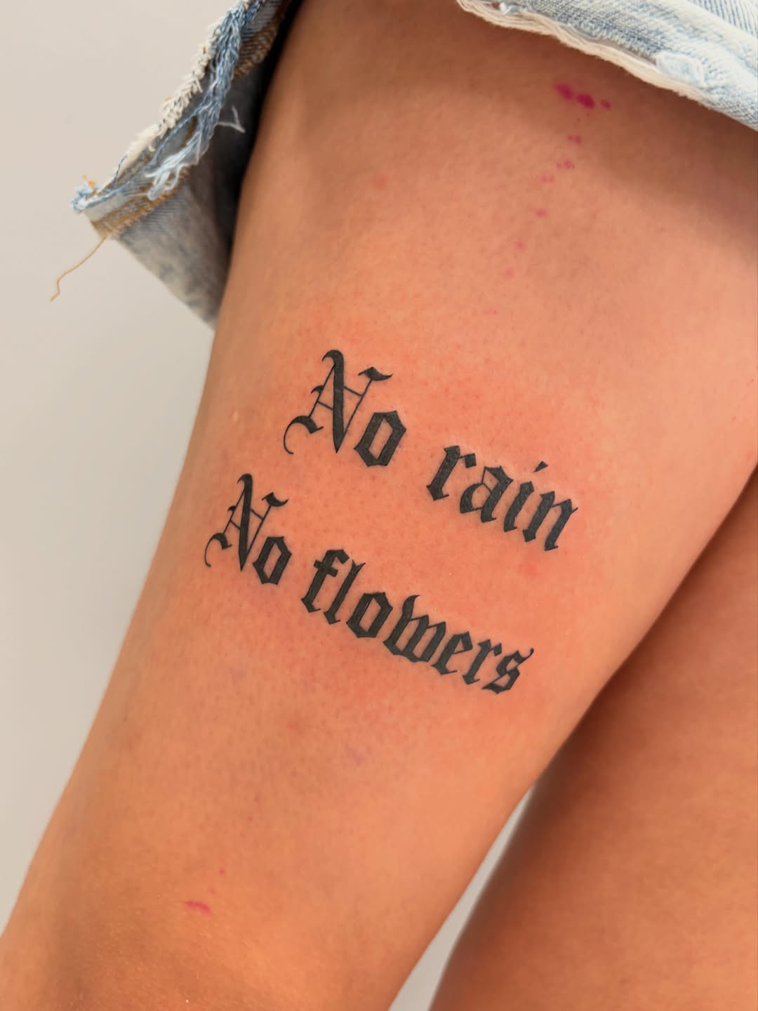Tattoo by @shrimpfran — lettering_script