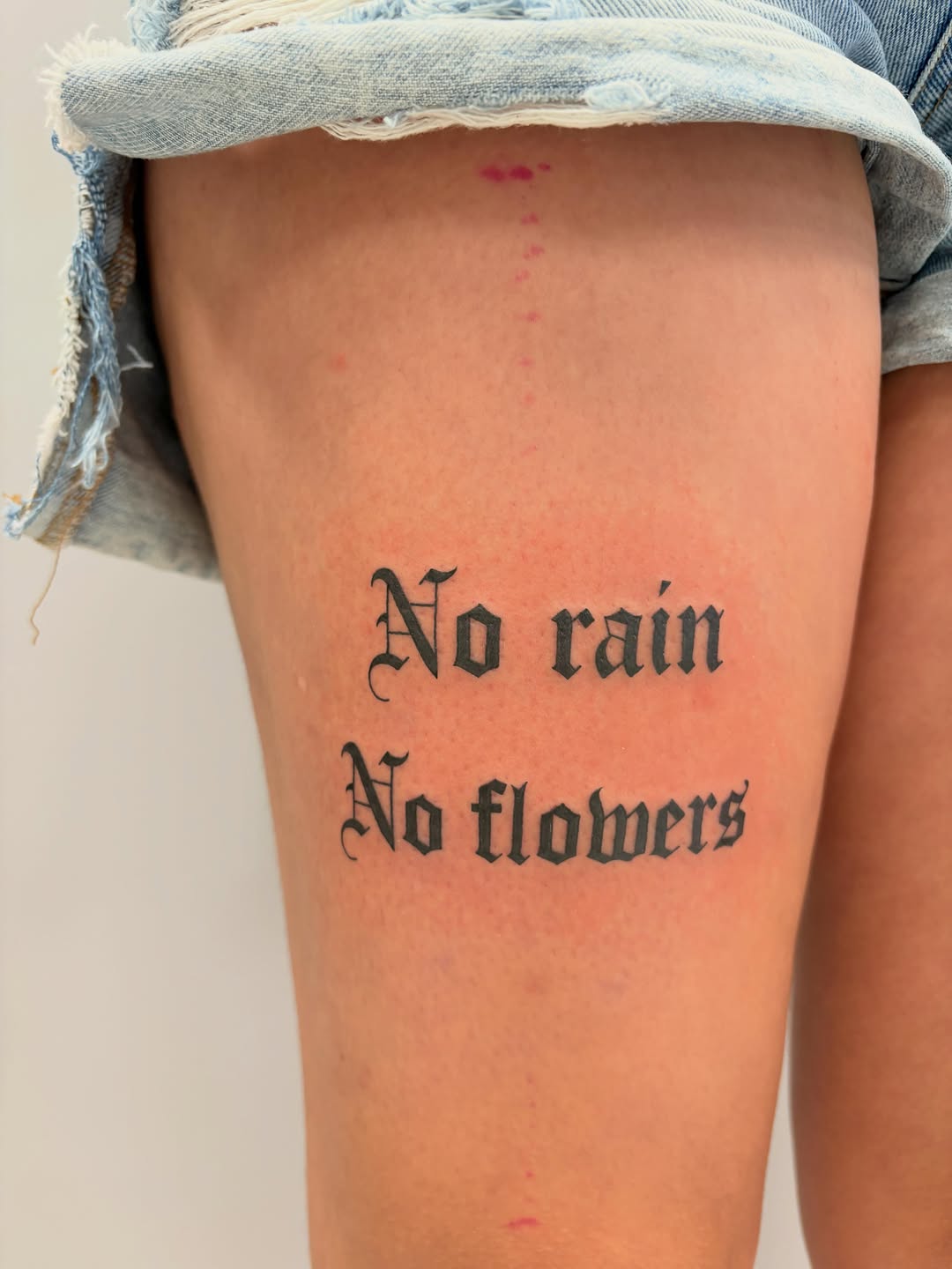 Tattoo by @shrimpfran — lettering_script