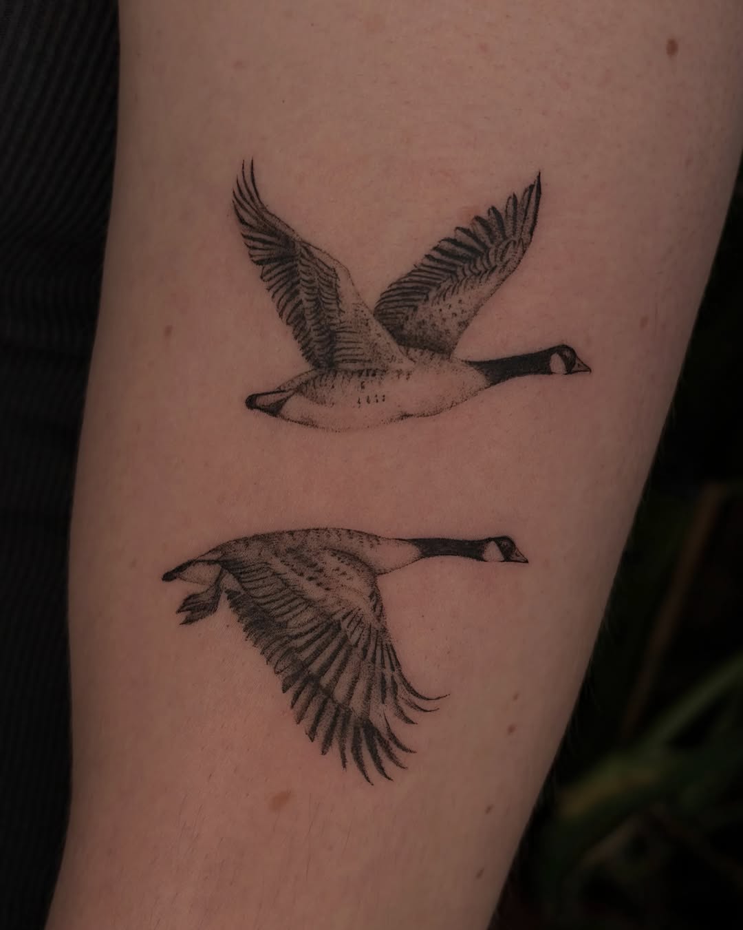 Tattoo by @cowgurl_bebop — dotwork, black_and_grey