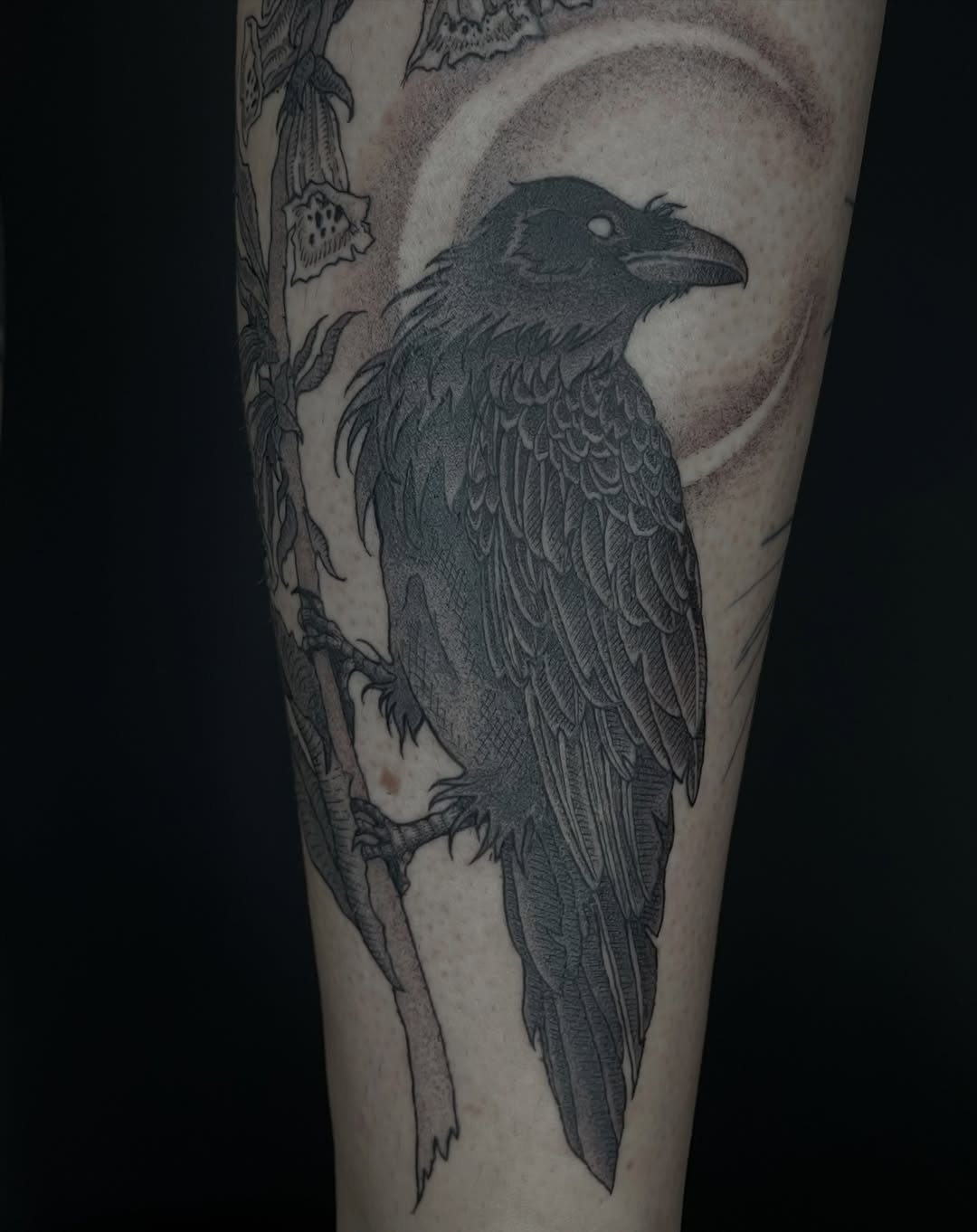 Tattoo by @nosferobtu.tattoo — black_and_grey, dotwork