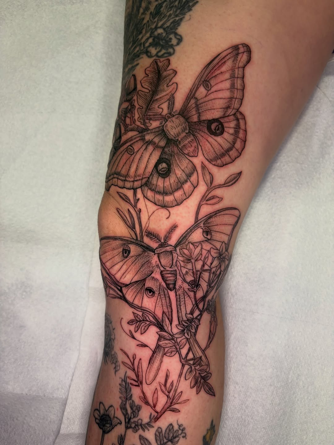 Tattoo by @beckiwilson — black_and_grey, fine_line