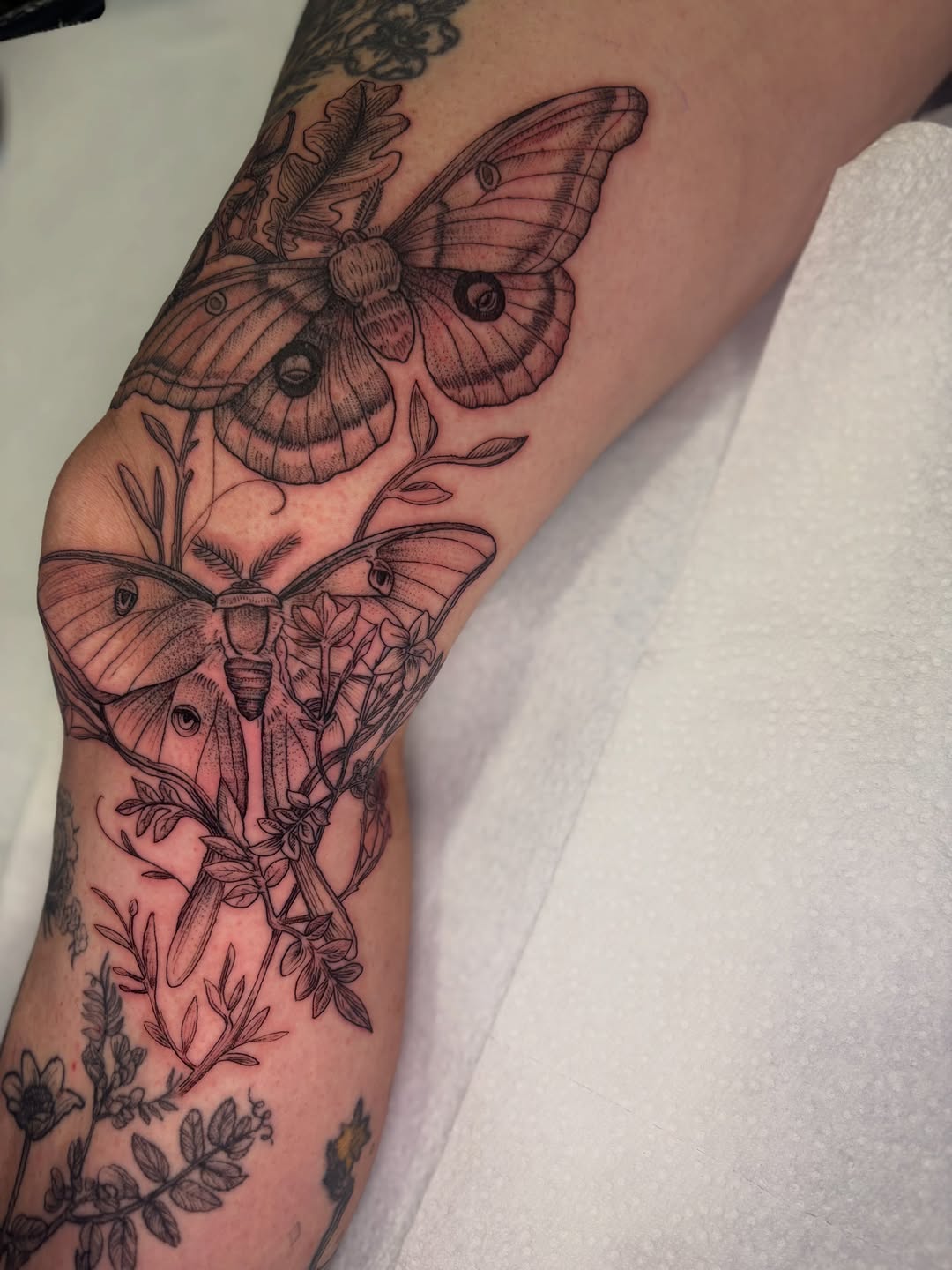 Tattoo by @beckiwilson — black_and_grey, fine_line