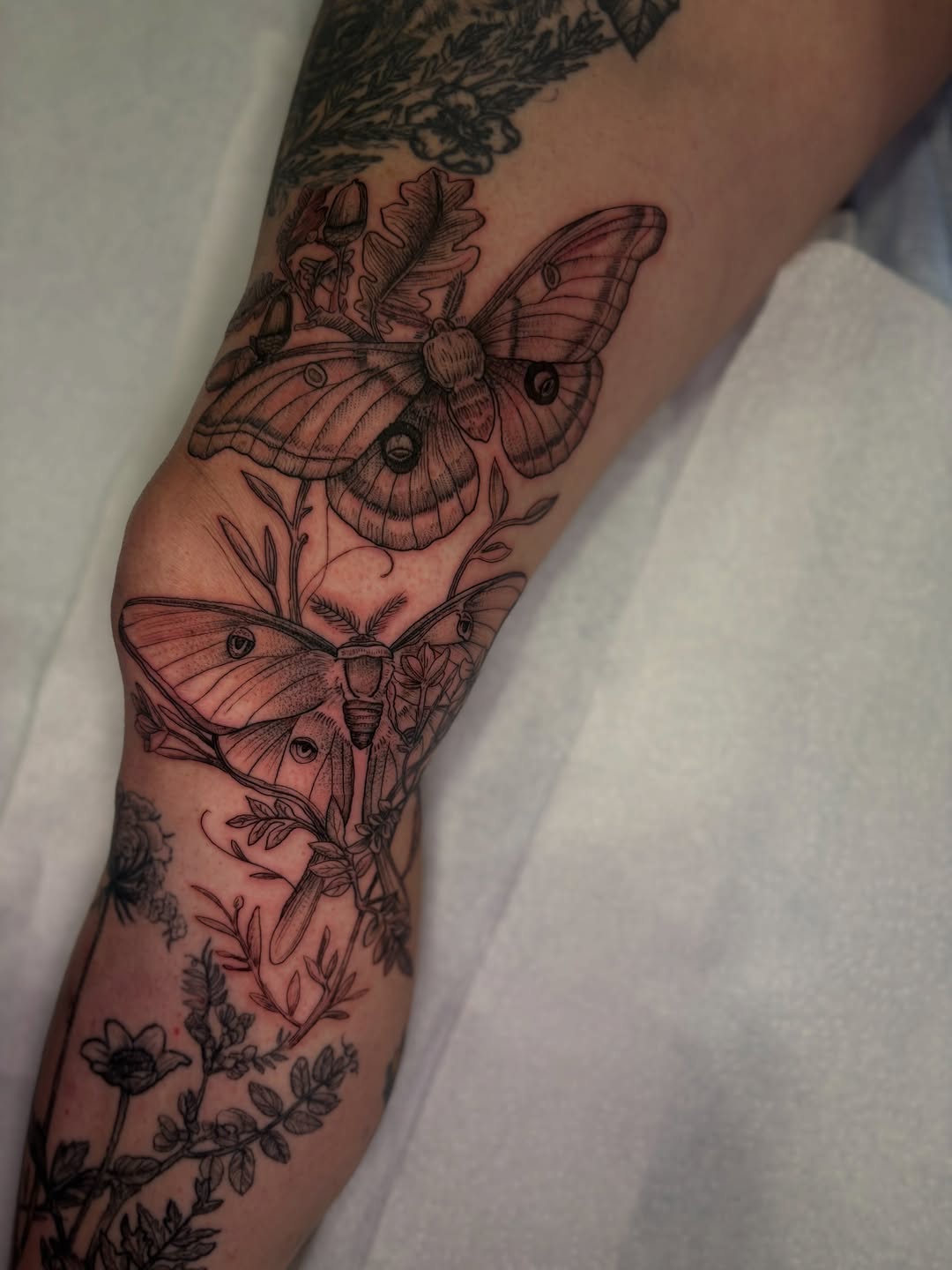 Tattoo by @beckiwilson — black_and_grey, illustrative