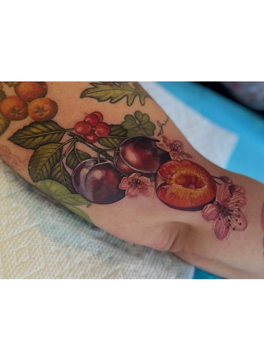 Tattoo by @taratimoon — realism, color