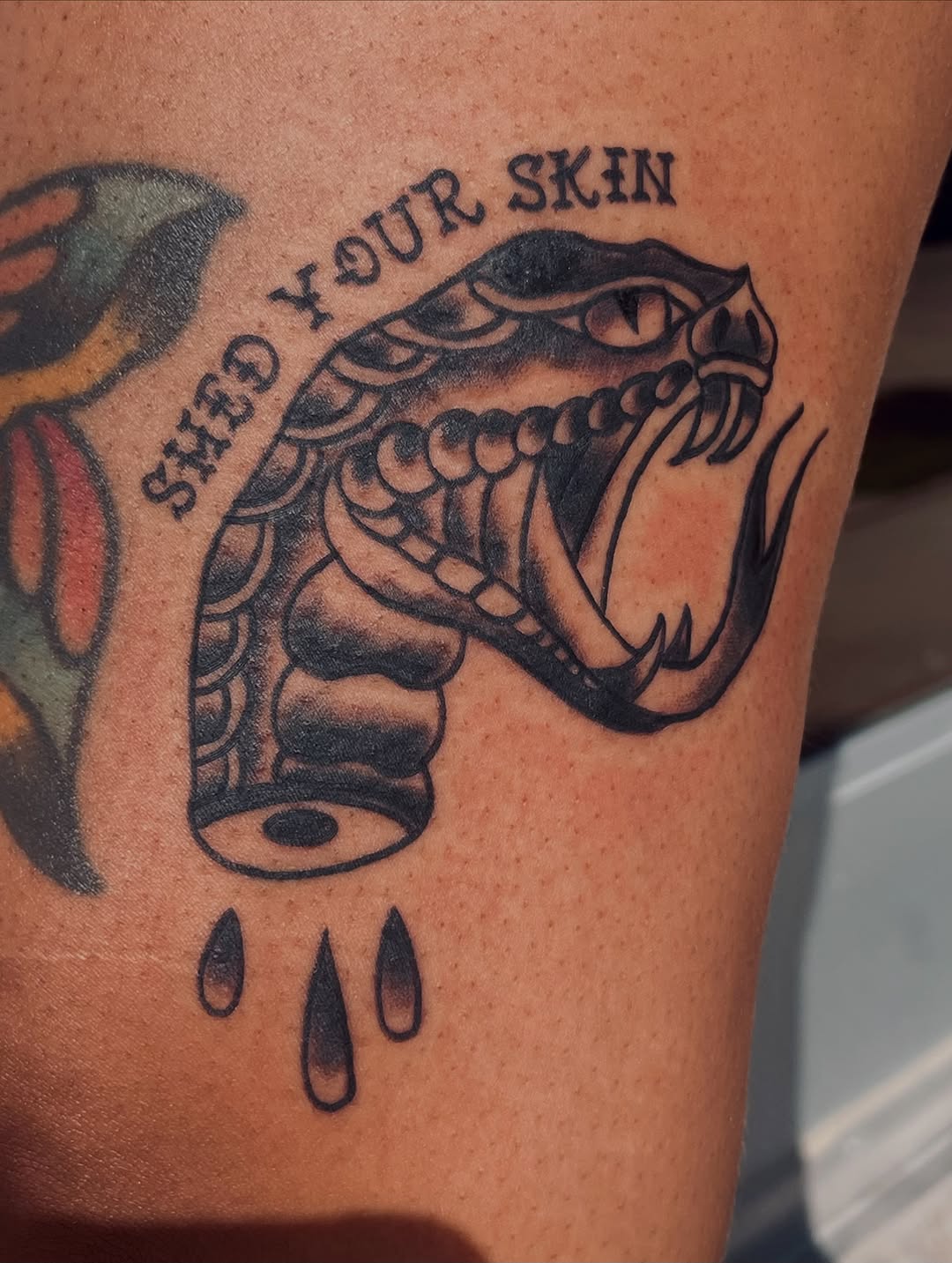 Tattoo by @mia_tatilla — american_traditional, lettering_script