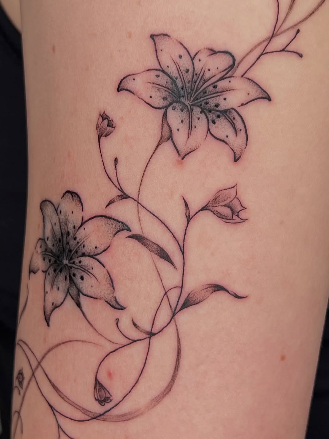 Tattoo by @soppa_tattoo — fine_line, black_and_grey